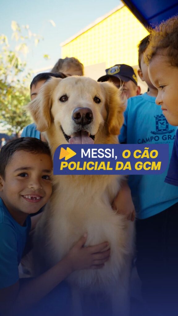 Prontos pra explodir o Fofurômetro? Conheça o Messi, o cão policial da GCM! Parceiro dos agentes da Guarda Municipal, o animal serve de pont…