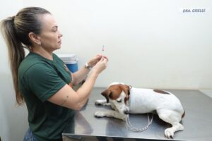 Consultório Móvel atende pets nesta segunda (17)