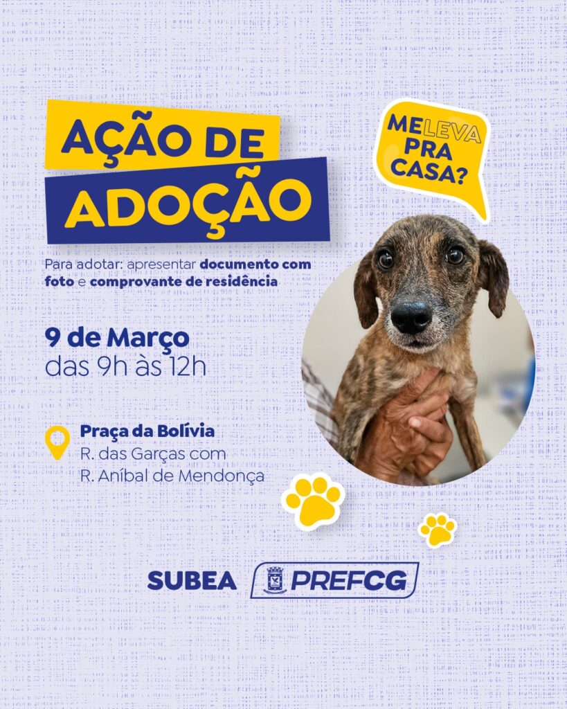 Prefeitura realiza ação de adoção de cães e gatos neste domingo