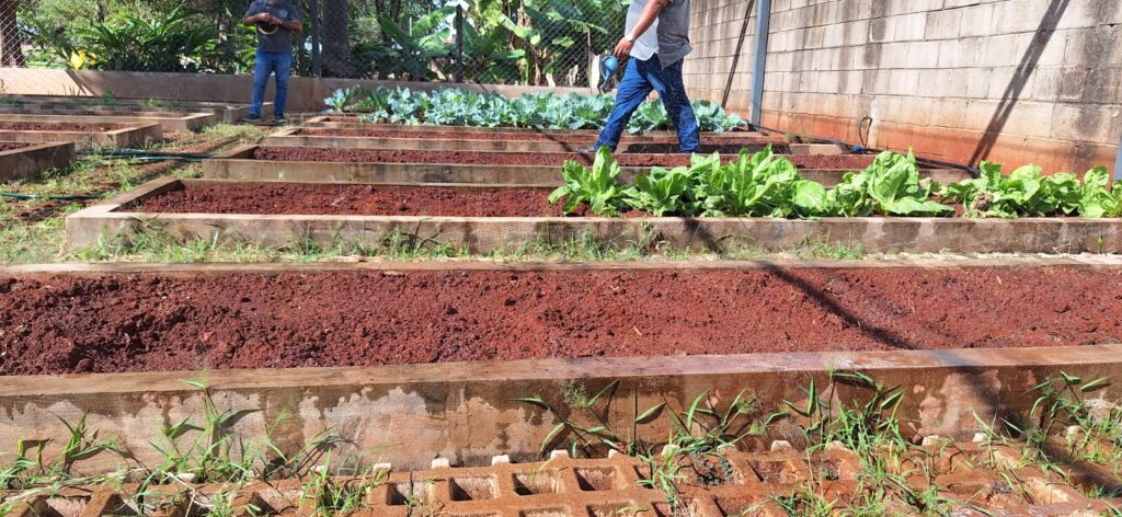 Foto: Reprodução/Prefeitura de Campo Grande - MS