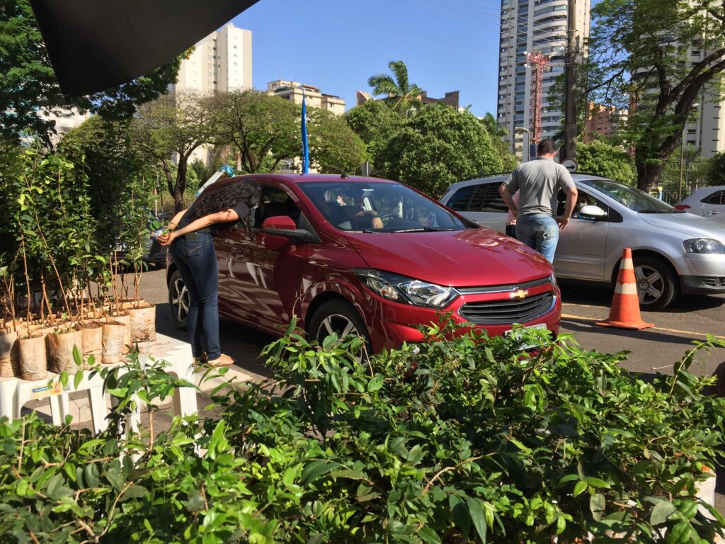 Mudas frutíferas serão distribuídas para a população neste sábado, Dia da Árvore