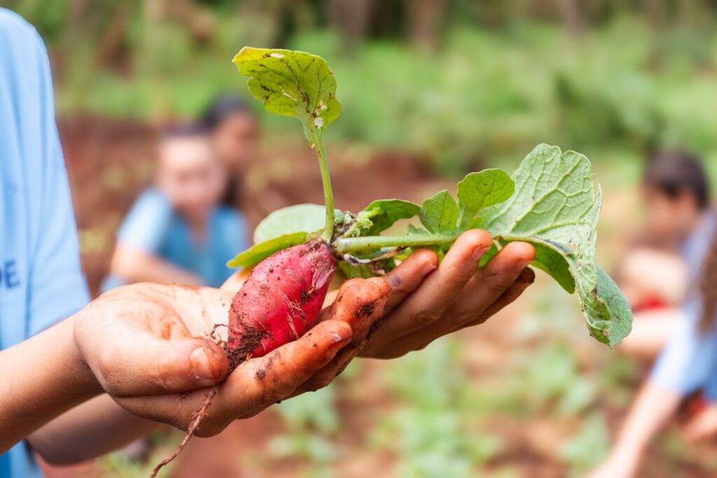 Integração e boas práticas fortalecem a educação do campo em Campo Grande Integração e boas práticas fortalecem a educação do campo em Campo Grande