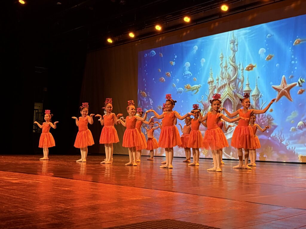 IMG 3429 Prefeitura realiza espetáculo ‘O Reino das Águas – Fundo do Mar’ com alunos de Oficina Pública