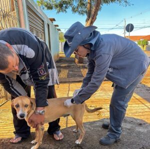 Campo Grande terá vacinação contra a raiva neste fim de semana