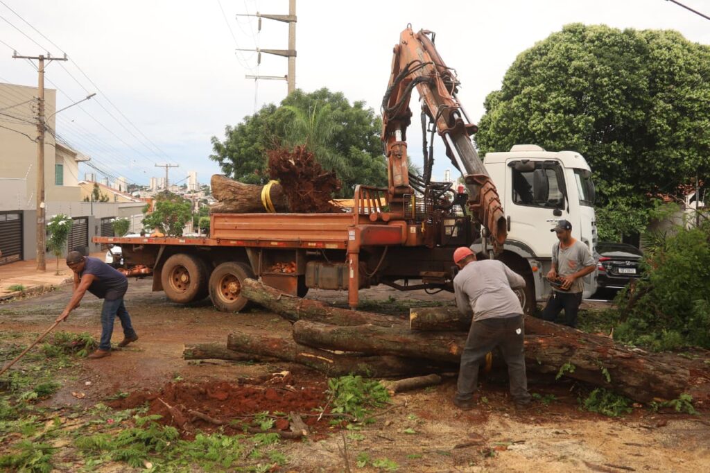 Foto: Reprodução/Prefeitura de Campo Grande - MS