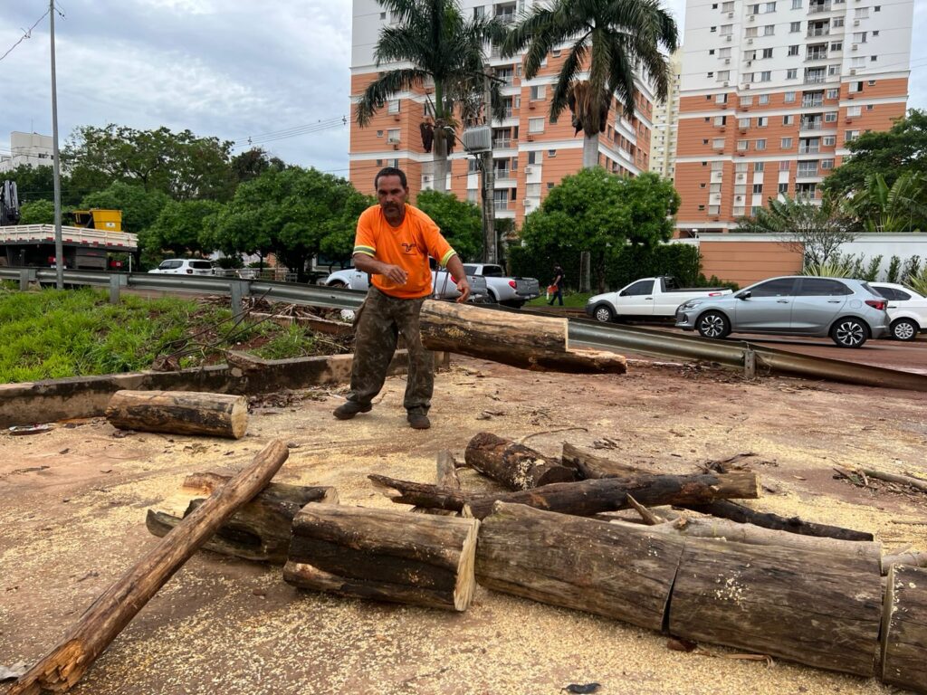 Foto: Reprodução/Prefeitura de Campo Grande - MS