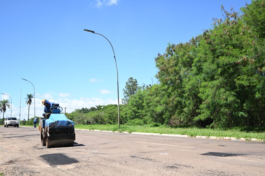 Equipes intensificam tapa-buracos e a remoção de árvores caídas