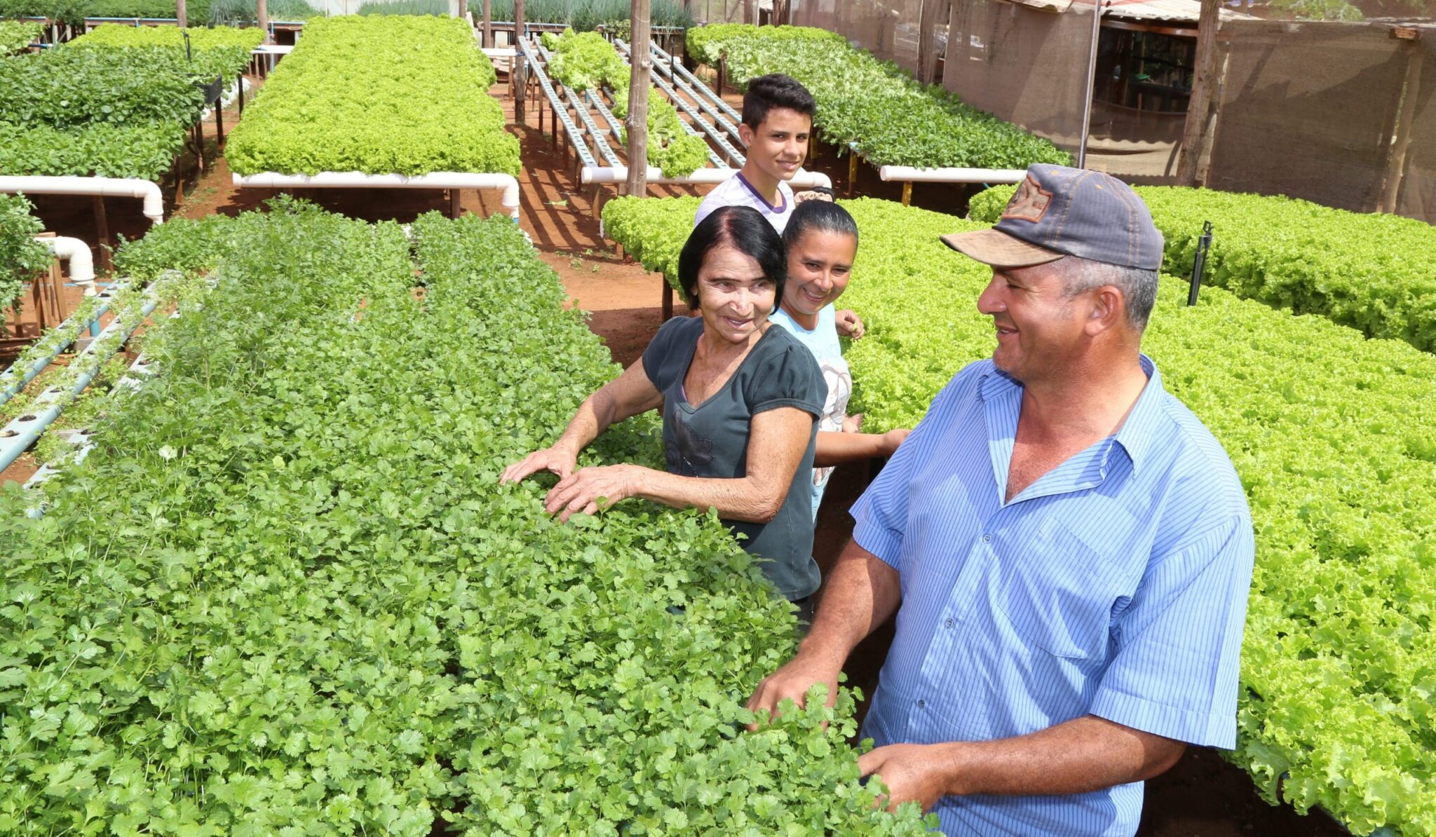 Produção Agrícola Municipal supera R$ 1 bi em 2025