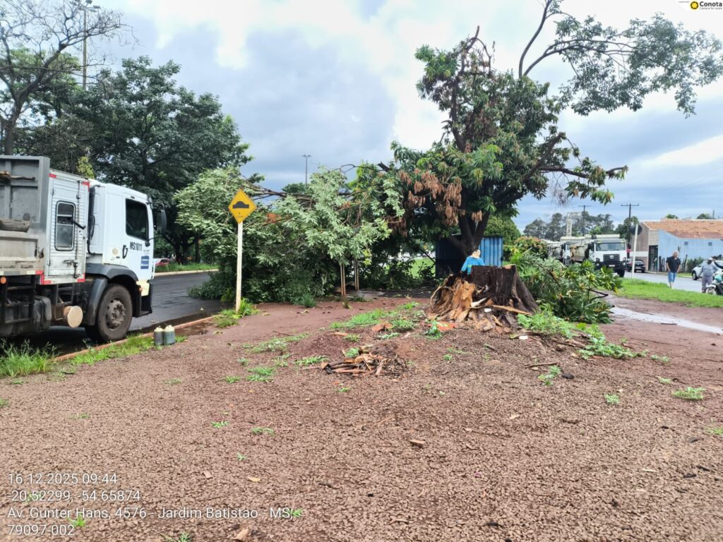 Prefeitura executa limpeza e ações emergenciais após fortes chuvas Prefeitura executa limpeza e ações emergenciais após fortes chuvas