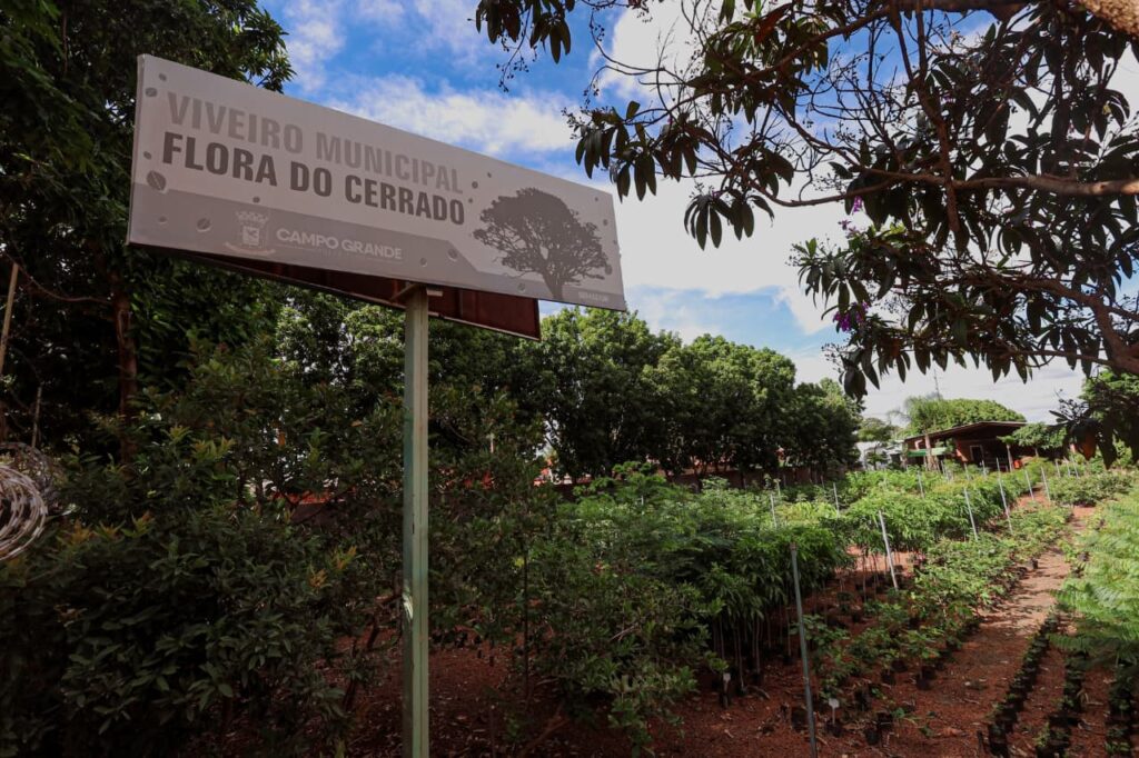 Foto: Reprodução/Prefeitura de Campo Grande - MS