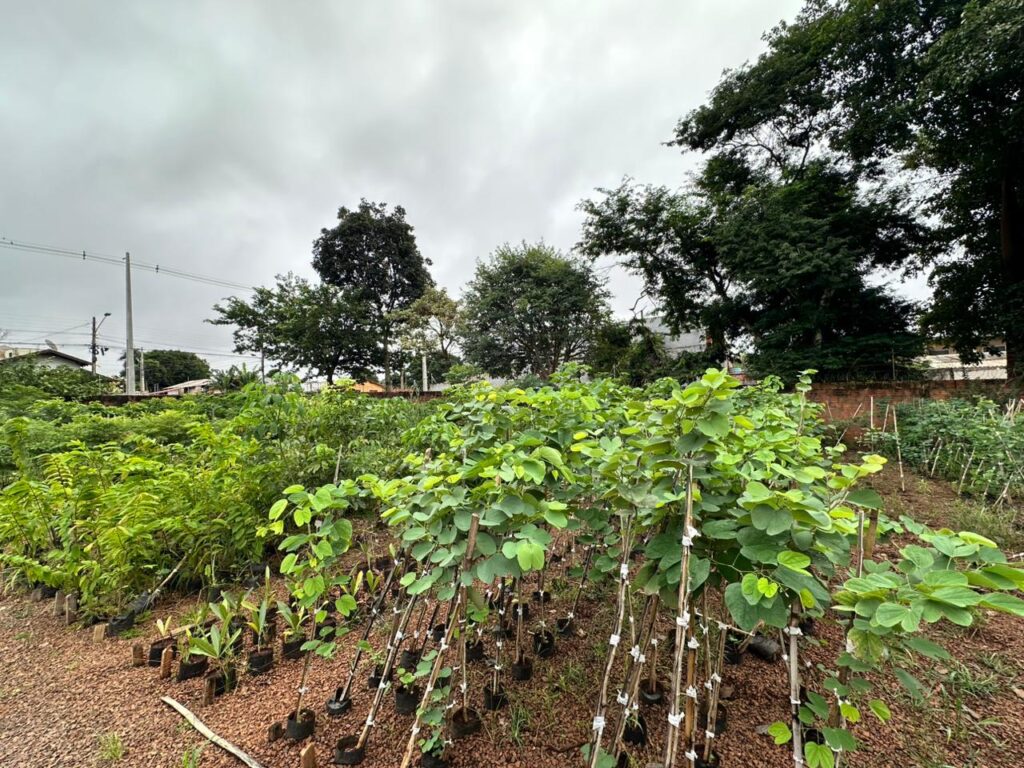Foto: Reprodução/Prefeitura de Campo Grande - MS