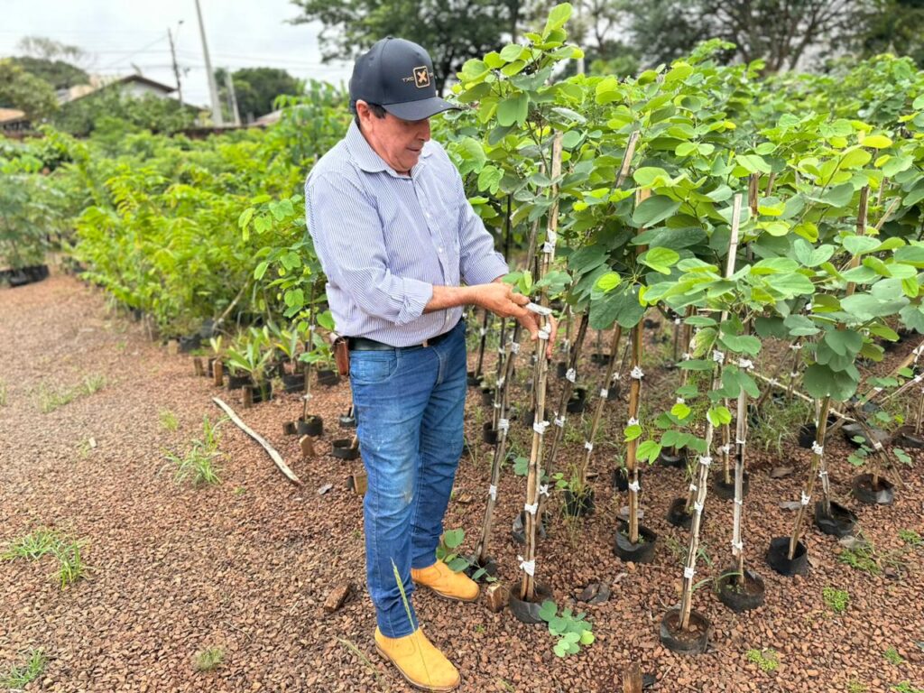 Foto: Reprodução/Prefeitura de Campo Grande - MS
