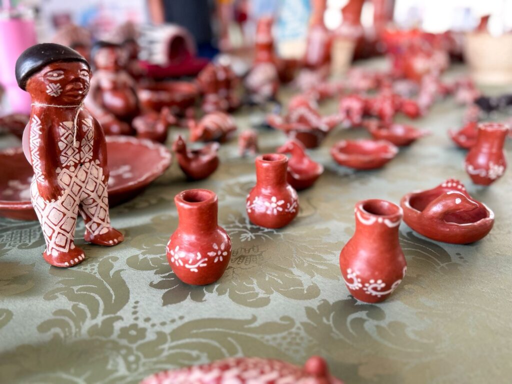 Foto: Reprodução/Prefeitura de Campo Grande - MS