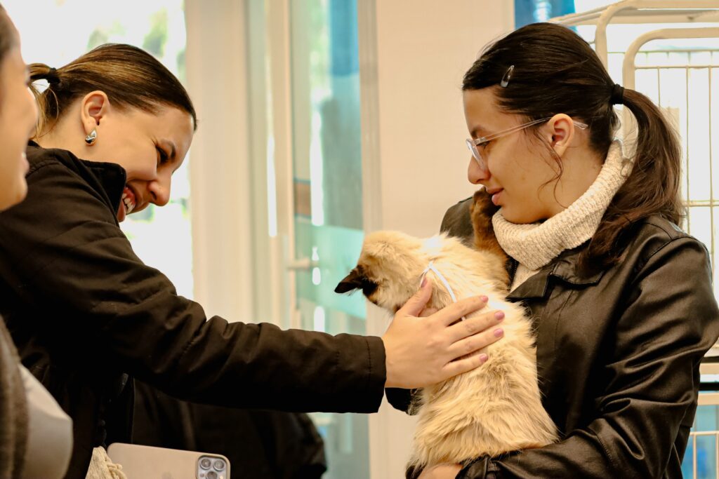 Foto: Reprodução/Prefeitura de Campo Grande - MS