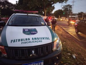 Descarte irregular de resíduos pode virar crime ambiental 