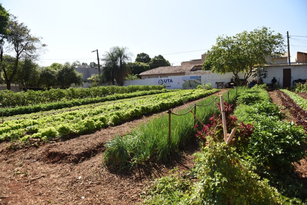 Foto: Reprodução/Prefeitura de Campo Grande - MS