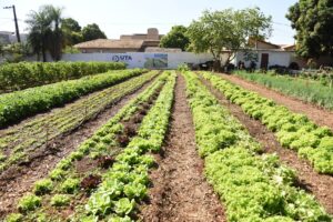 FAC e Emha realizam intercâmbio socioambiental para idosos