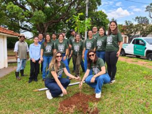 Plantio no Parque Municipal Água Limpa abre caminho para novo ponto de observação de aves