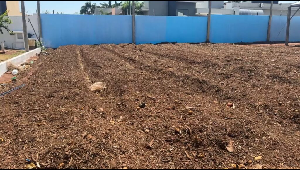 Foto: Reprodução/Prefeitura de Campo Grande - MS