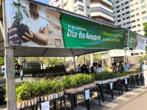 PrefCG distribui 10 mil mudas frutíferas neste sábado
