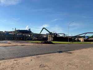 Expansão florestal amplia potencial econômico de Campo Grande