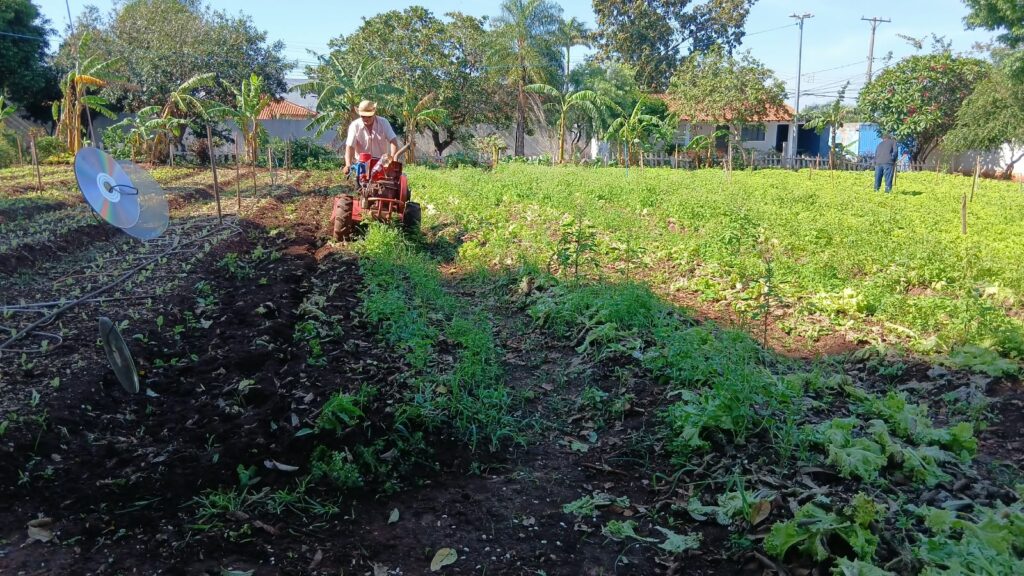 Foto: Reprodução/Prefeitura de Campo Grande - MS