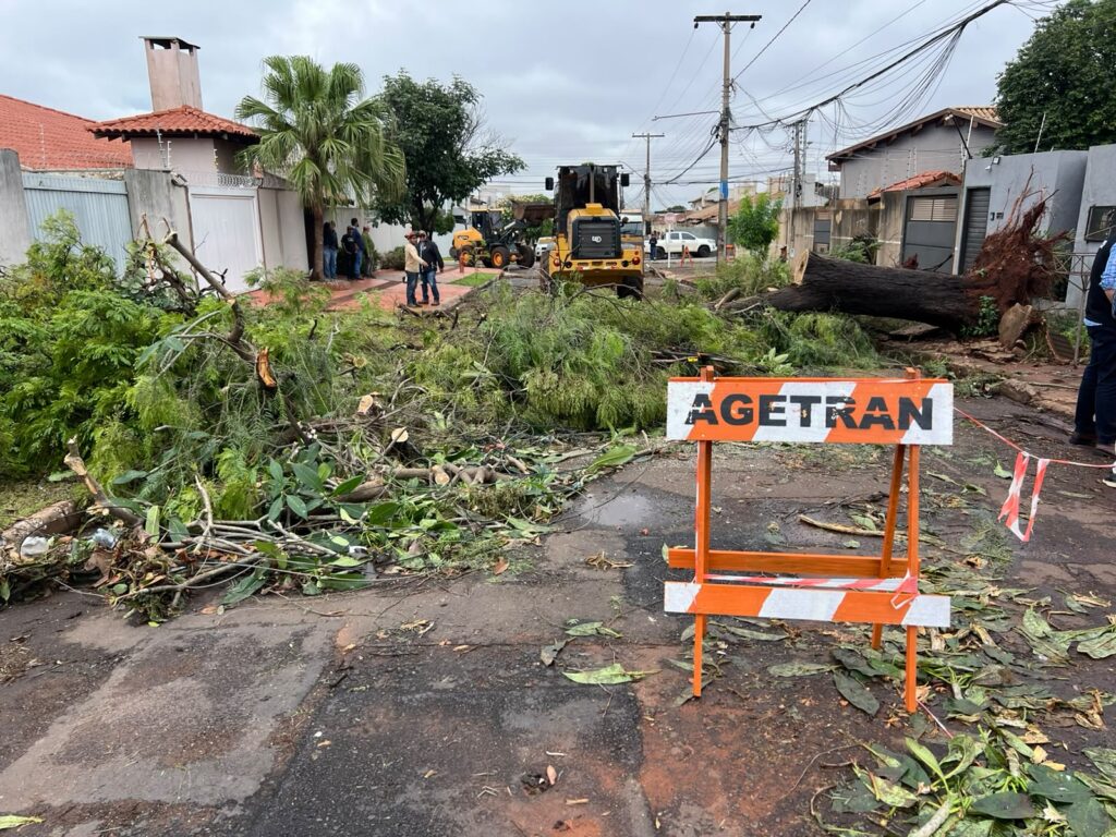 Foto: Reprodução/Prefeitura de Campo Grande - MS