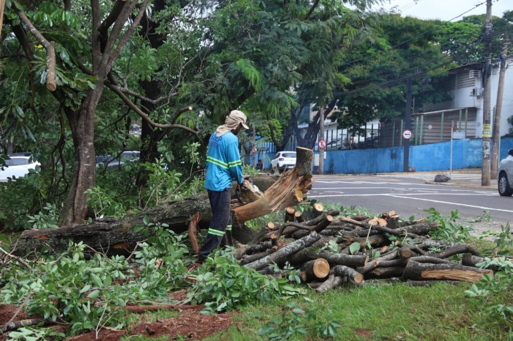 Foto: Reprodução/Prefeitura de Campo Grande - MS