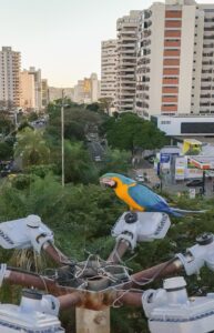 Campo Grande recebe fórum sobre turismo e conservação ambiental