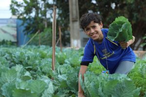 Estudantes da Reme aprendem sobre sustentabilidade na UTA 
