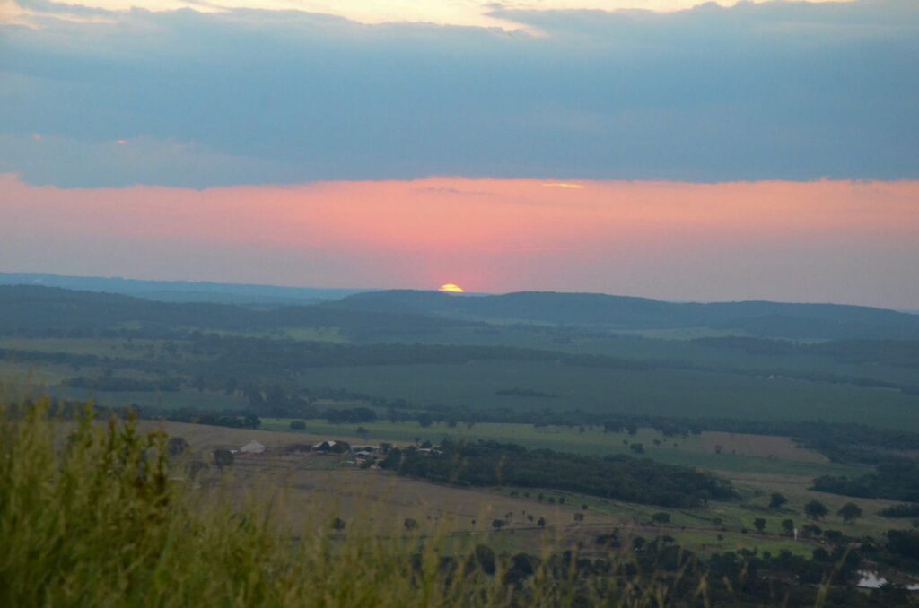 Foto: Reprodução/Prefeitura de Campo Grande - MS